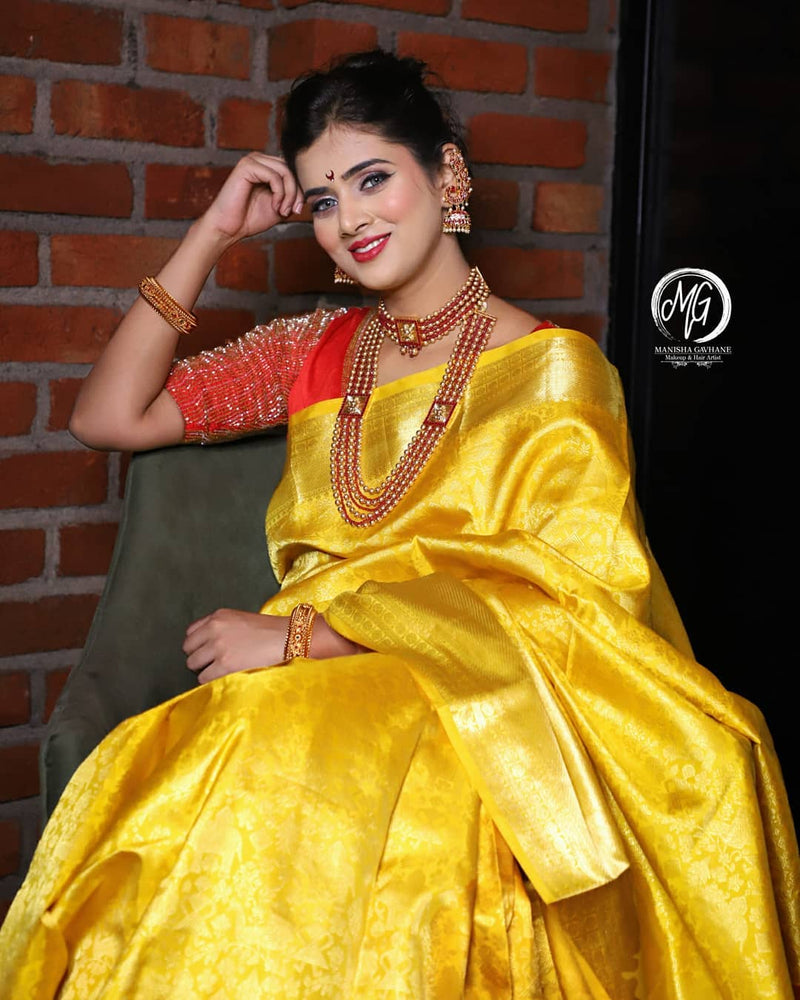 Malvika Gaekwad in Zartari Pure Silk