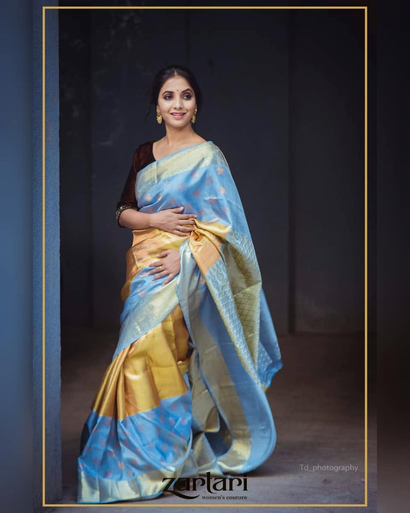 Saylee Sanjeev in Zartari Pure Silk
